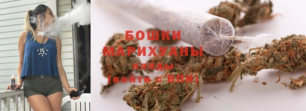 крисы Балахна