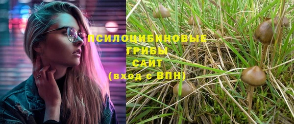 спайс Баксан