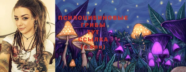 ГАЛЛЮЦИНОГЕННЫЕ ГРИБЫ Балабаново