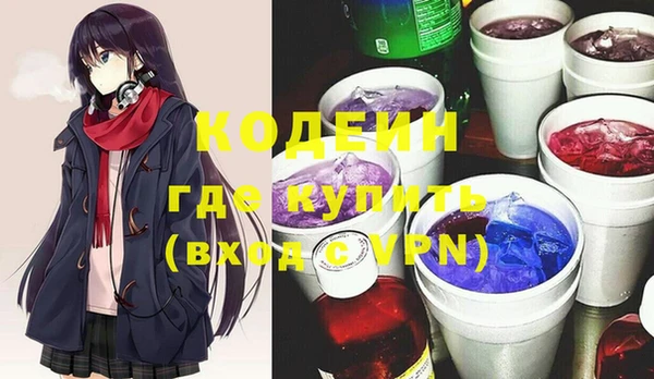 дурь Бердск