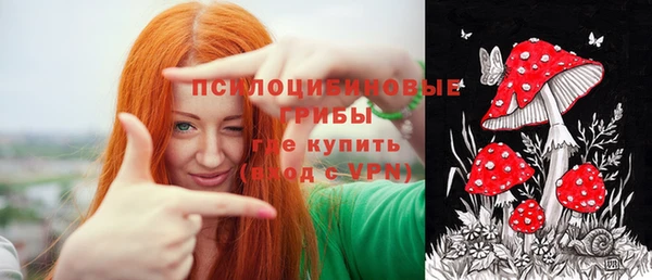 ГАЛЛЮЦИНОГЕННЫЕ ГРИБЫ Балабаново